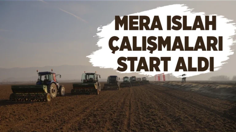 Mera ıslah çalışmaları start aldı