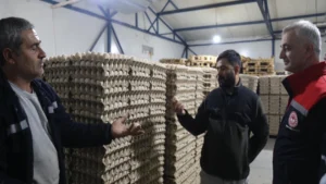Balışeyh’te bu işletme günlük binlerce yumurta üretiyor