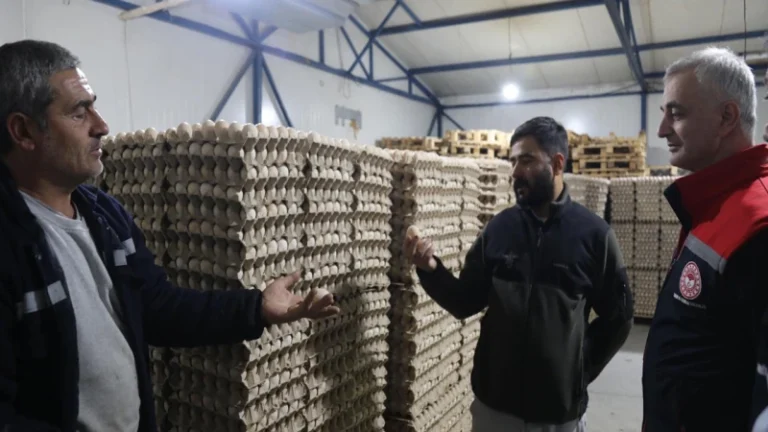 Balışeyh’te bu işletme günlük binlerce yumurta üretiyor