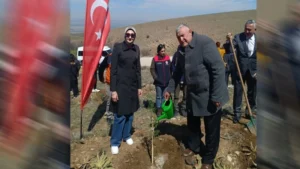 Çelebi’de fidanlar toprakla buluştu