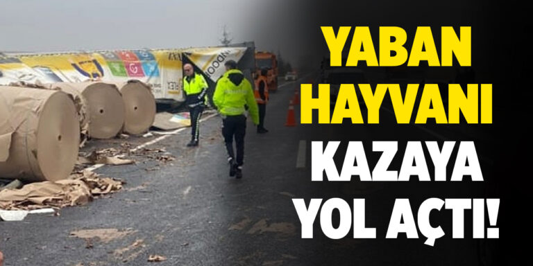 Kırıkkale’de yaban hayvanı kazaya yol açtı!