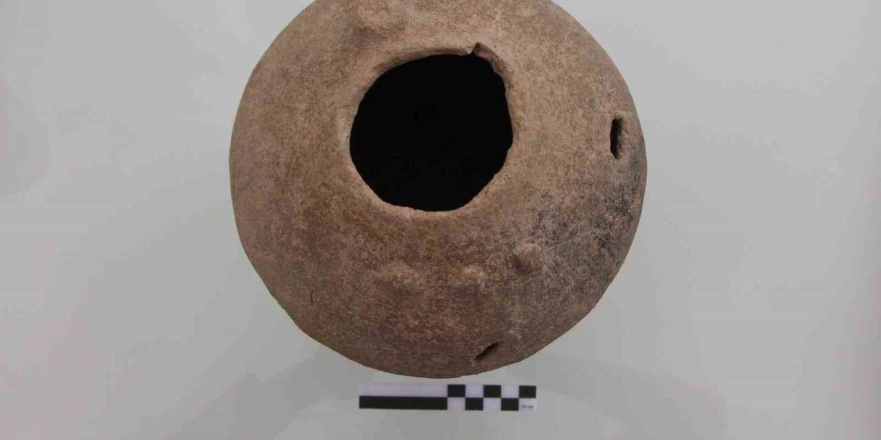 kulhoyuk’te-4-bin-yillik-hitit-kabinin-icerisinde-sevgi-cicegi’nin-eski-tohum-kalintilari-bulundu
