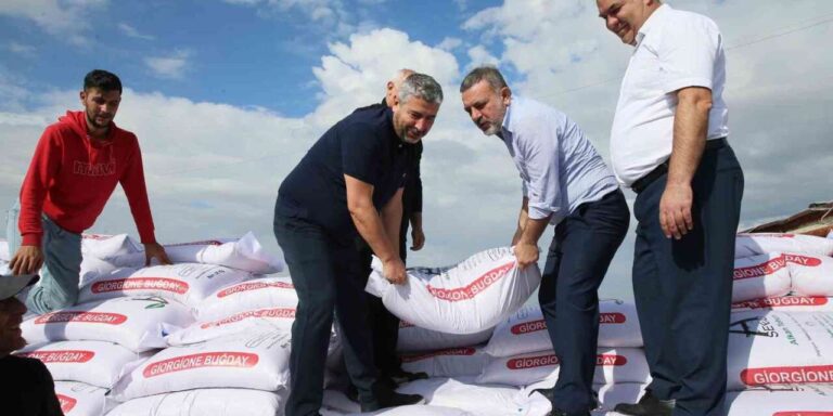 Sincan Belediyesi’nden çiftçilere buğday tohumu desteği