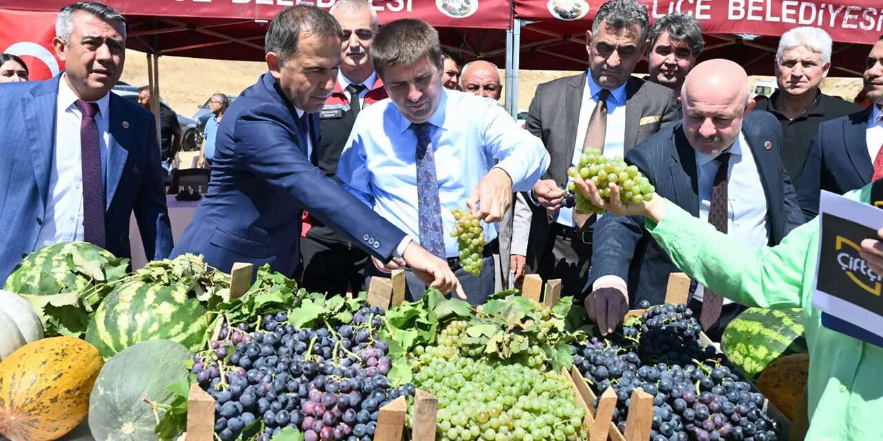 delice’de-uzum-hasadi-yapildi,-pekmez-kaynatildi
