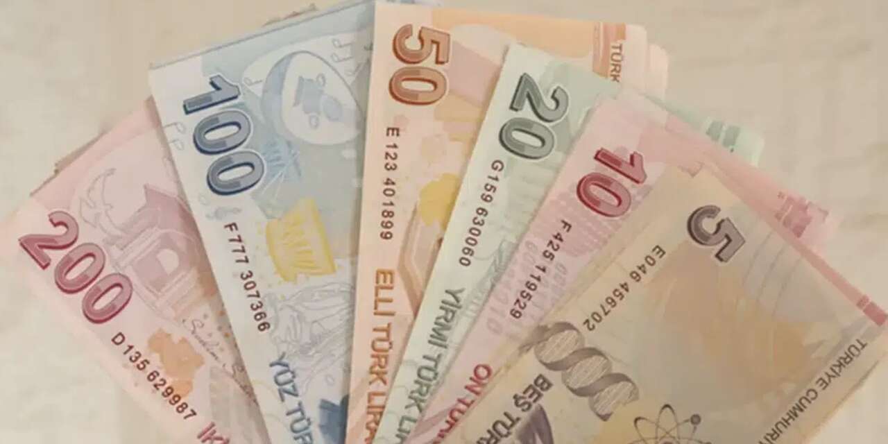 cebimizdeki-5-ve-50-tl’ler-degisiyor!-yeni-banknotlar-dolasima-girdi