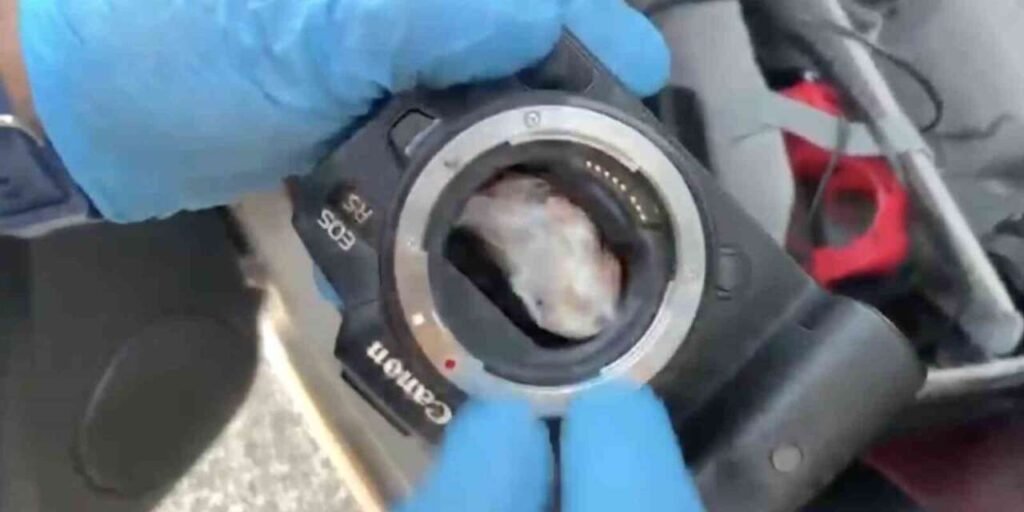 Fotoğraf makinesinin içinden uyuşturucu çıktı