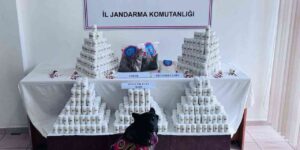 Binlerce sentetik ecza hapı ve uyuşturucuyla yakalanan sanığın yargılanmasına devam edildi
