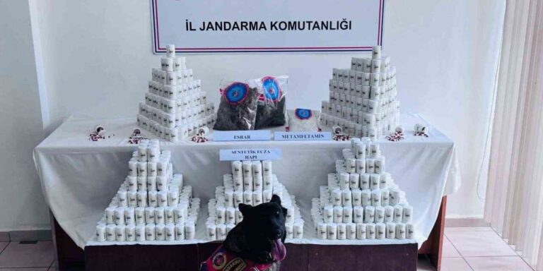 Binlerce sentetik ecza hapı ve uyuşturucuyla yakalanan sanığın yargılanmasına devam edildi