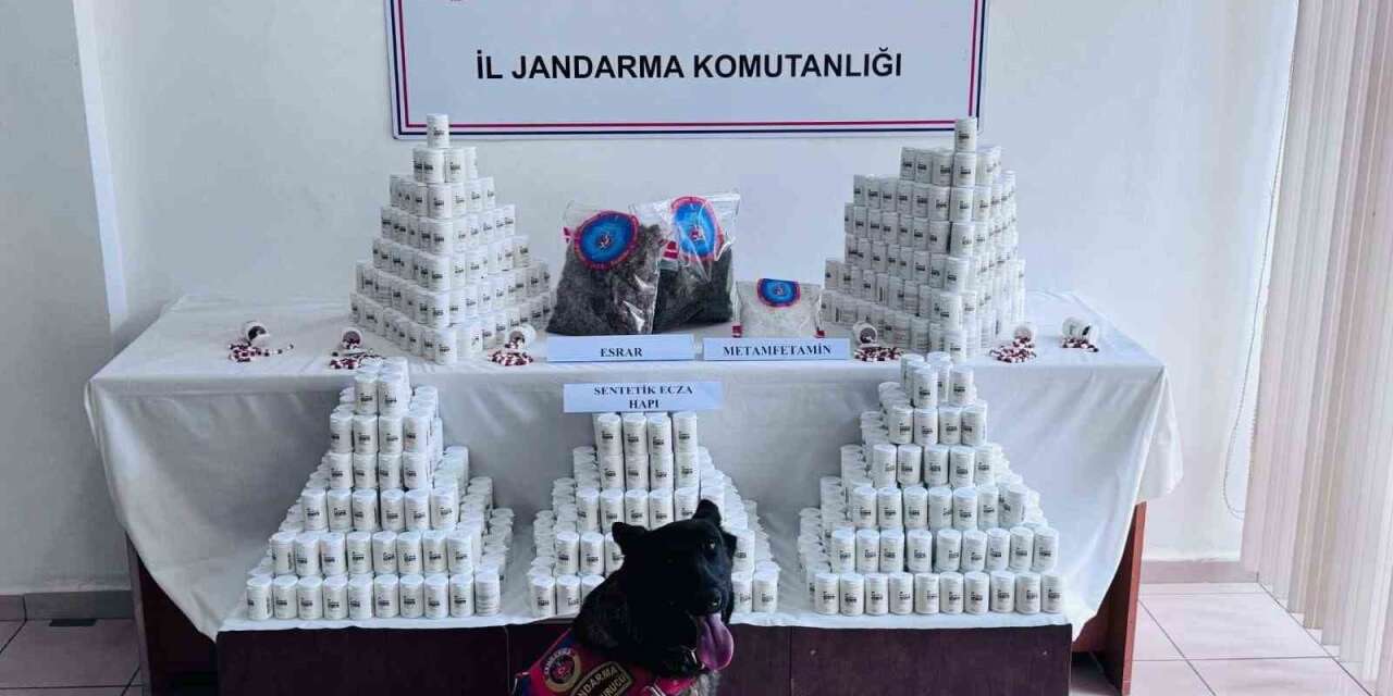 binlerce-sentetik-ecza-hapi-ve-uyusturucuyla-yakalanan-sanigin-yargilanmasina-devam-edildi