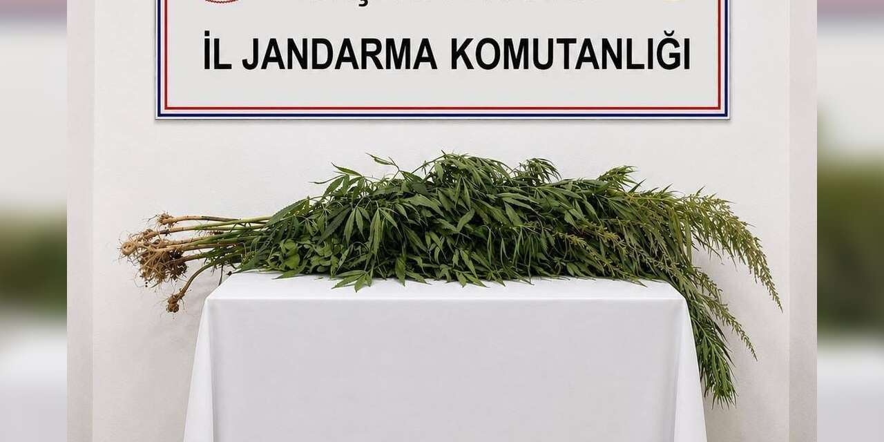 ikametlerde-yapilan-aramalarda-30-kok-uyusturucu-ele-gecirildi