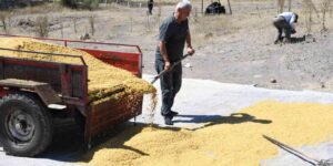ata-meslegini-geleneksel-yontemlerle-surduruyor,-41-yildir-bulgur-uretiyorlar