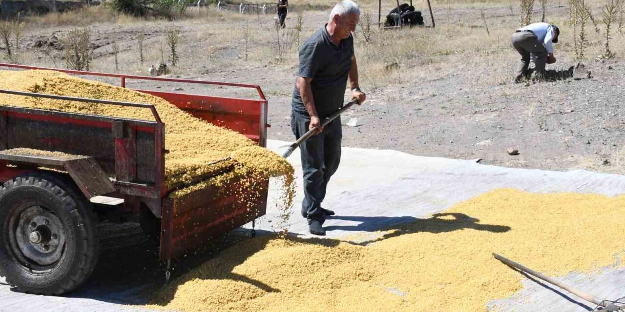 ata-meslegini-geleneksel-yontemlerle-surduruyor,-41-yildir-bulgur-uretiyorlar