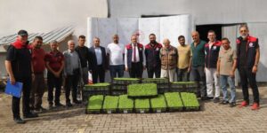 Üreticilere 69 bin marul fidesi desteği: Kıvırcık marul fidesi teslim edildi
