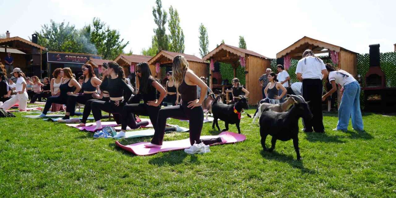ankara’da-spora-cuce-keciler-de-eslik-etti