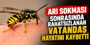 Arı sokması sonrasında rahatsızlanan vatandaş hayatını kaybetti