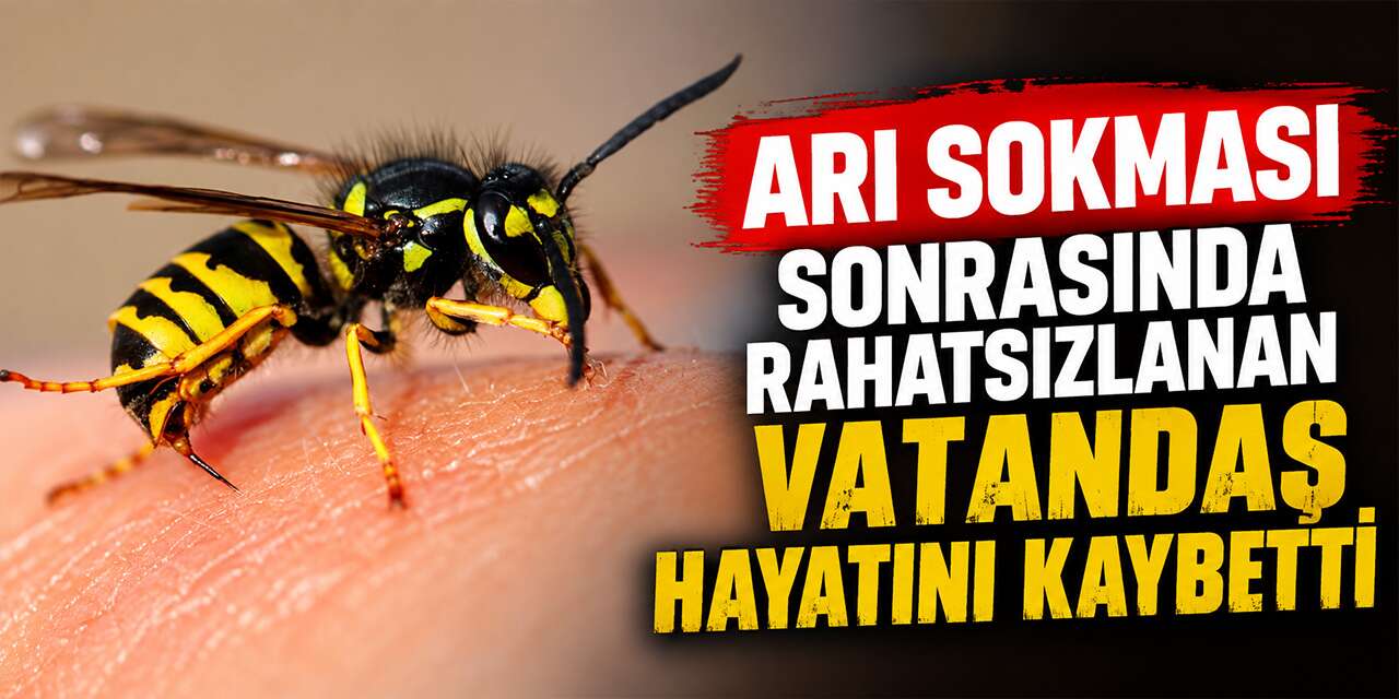 ari-sokmasi-sonrasinda-rahatsizlanan-vatandas-hayatini-kaybetti