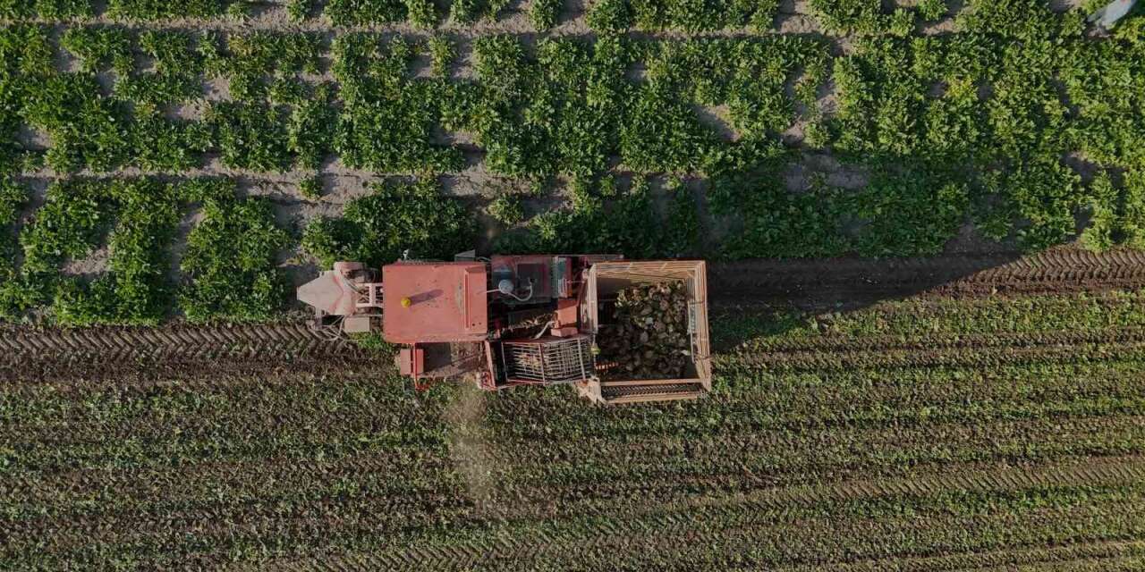 yozgat’ta-6-aylik-emegin-hasadi-basladi
