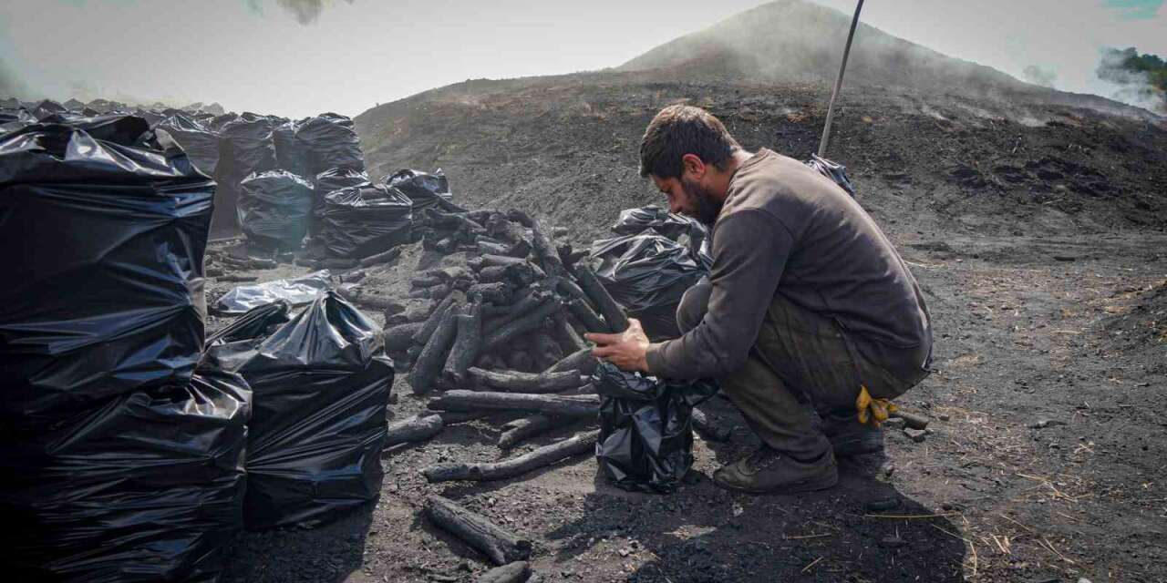 mese-odunundan-mangal-komurune:-15-gunluk-zorlu-mesai