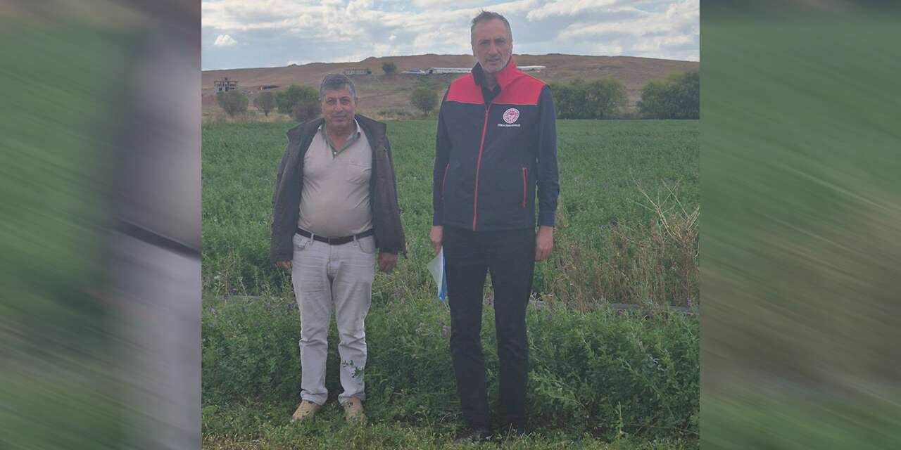 celebi’de-yem-bitkileri-mercek-altinda:-ekipler-sahaya-indi