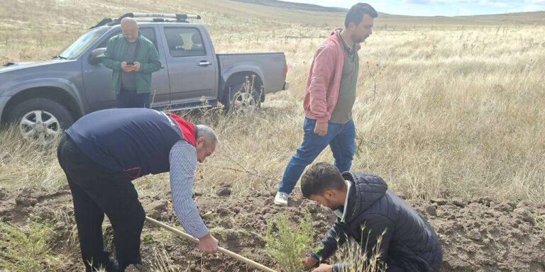 Meralar için dikkat çeken hamle: 25 bin fidan toprakla buluşuyor