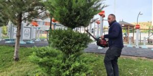 Yahşihan’da ekipler harekete geçti: Tehlike oluşturan ağaçlara müdahale