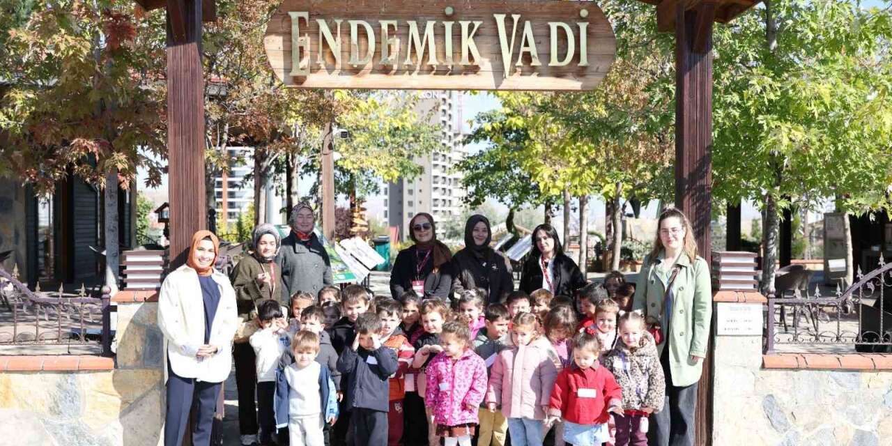 minik-kasiflerin-gozdesi:-‘‘endemik-vadi’’