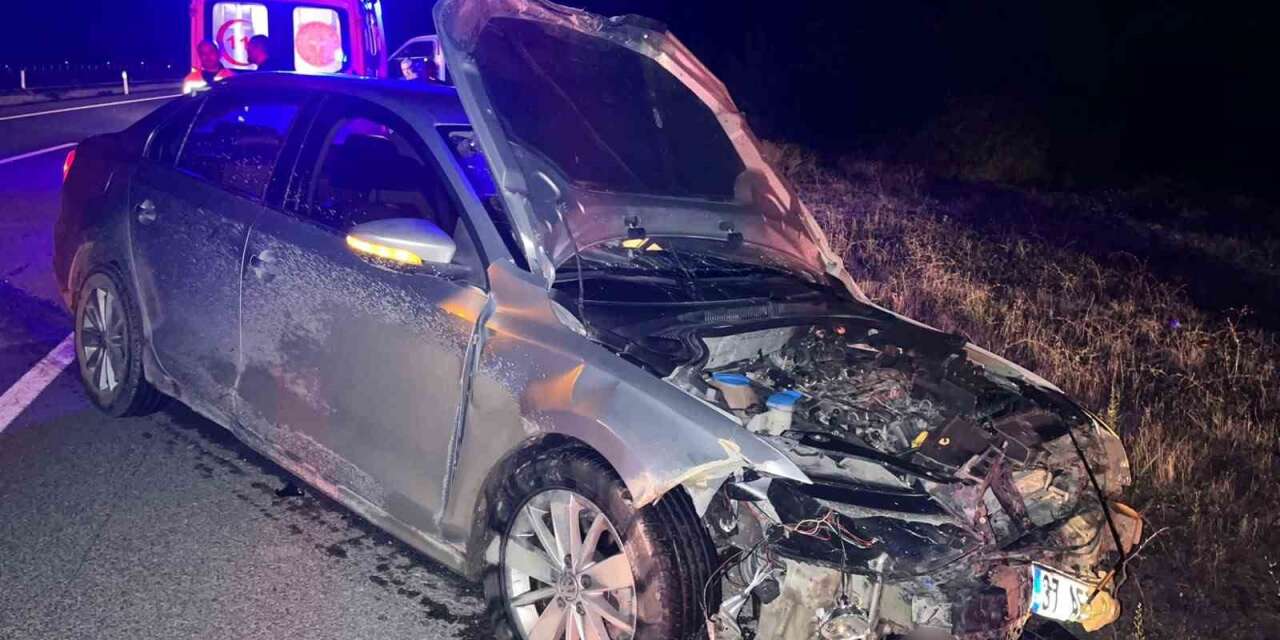 kastamonu’da-otomobil-domuz-surusune-carpti:-2-yarali