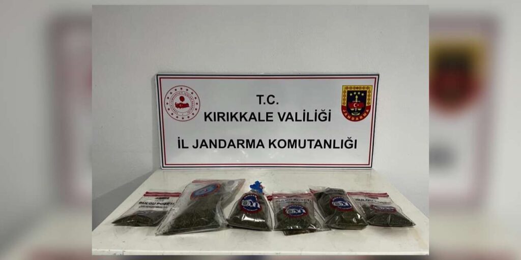 Narkotik köpeği “Evin” uyuşturucuyu tespit etti: Bahçede kenevir ve esrar ele geçirildi