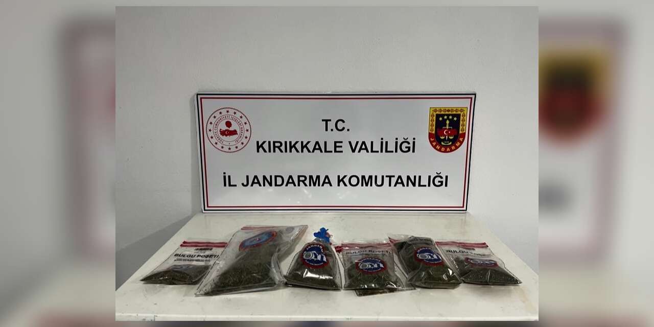 narkotik-kopegi-“evin”-uyusturucuyu-tespit-etti:-bahcede-kenevir-ve-esrar-ele-gecirildi