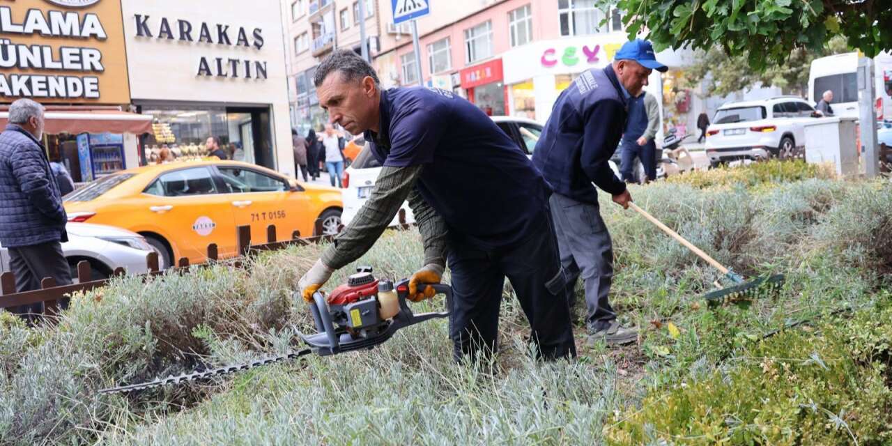 park-ve-bahcelerde-sonbahar-mesaisi!-ekipler-harekete-gecti