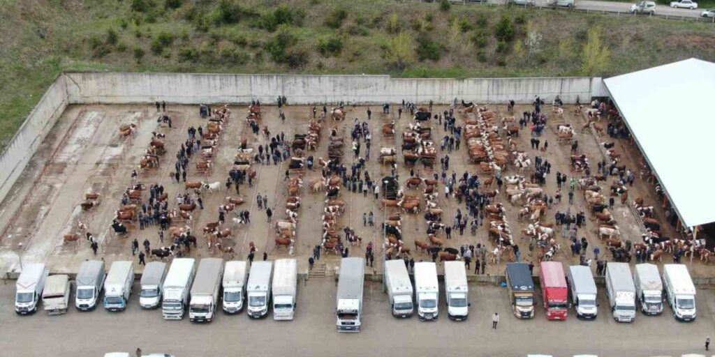 Kastamonu’da canlı hayvan pazarları kapatıldı