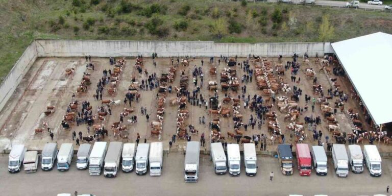 Kastamonu’da canlı hayvan pazarları kapatıldı