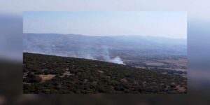 Ankara’da ormanlık alanda çıkan yangın kontrol altına alındı