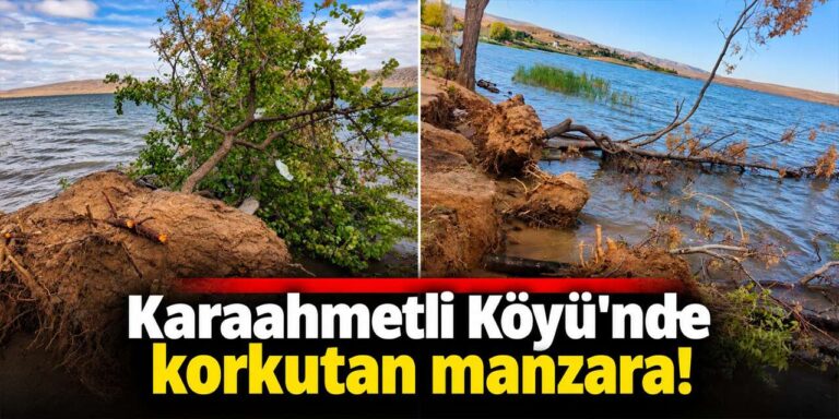 Karaahmetli’de kıyı kaybı: Ağaçlar devriliyor, çöpler birikiyor
