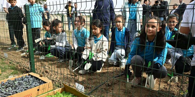Yağmur suyu fidelere can oldu: İki okulda “Yağmurdan Hasada” projesi