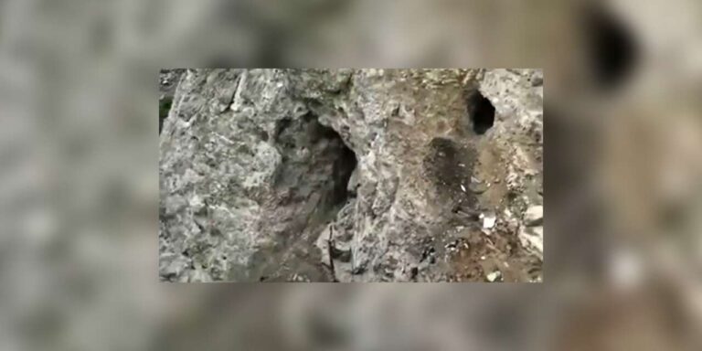 PKK, Irak’ın kuzeyindeki 4 kampı boşalttı