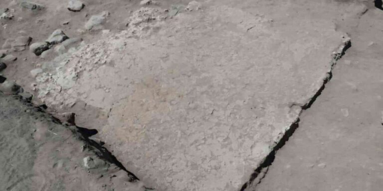 Kültepe’de 2 bin yılı aşkın geçmişe sahip mozaik döşemeli yapı gün yüzüne çıkarıldı