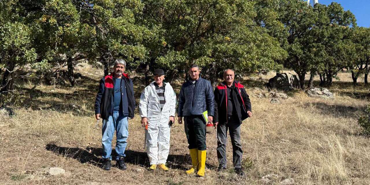 hububat-icin-kritik-hazirlik:-ekipler-dort-bolgede-incelemede