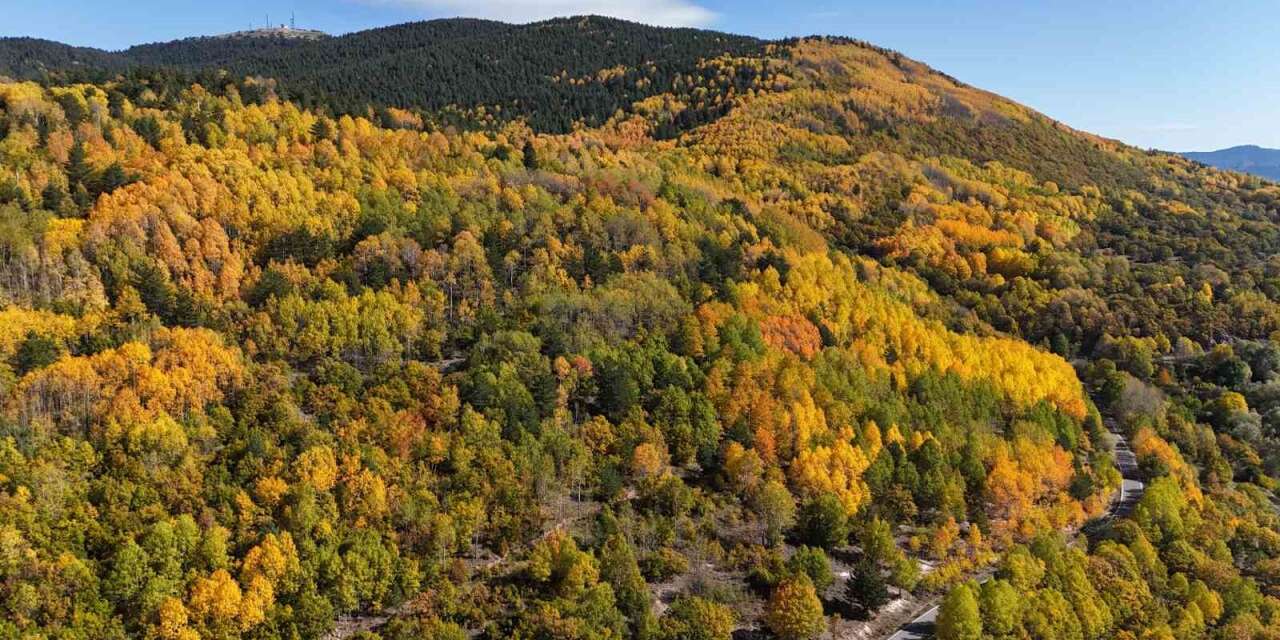 sonbaharda-karagol-jeositi,-sari-ve-yesilin-farkli-tonlarina-burundu