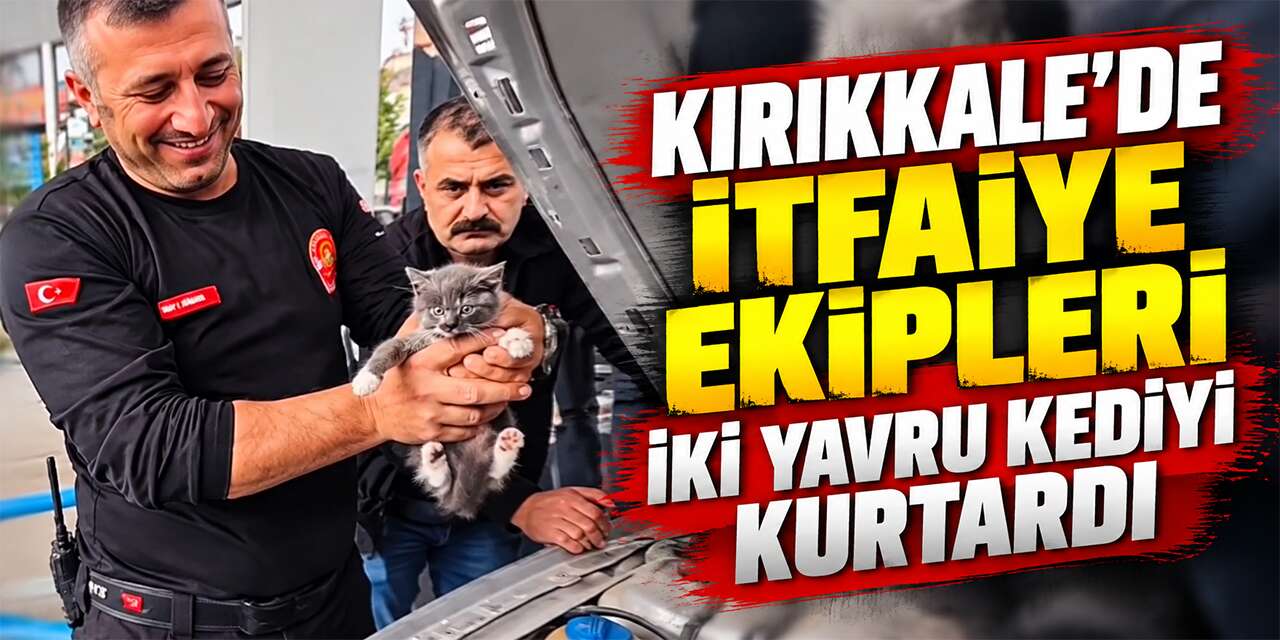 kirikkale’de-itfaiye-ekipleri-iki-yavru-kediyi-kurtardi